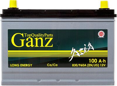GANZ Asia GAA1000 100 А·ч 830 А (EN), обратная полярность, 304x173x220 мм