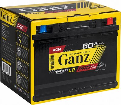 GANZ PRO-Line AGM G4040600 60 А·ч 640 А (EN), обратная полярность, 242x175x190 мм