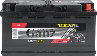 GANZ PRO-Line DIN G1091000 100 А·ч 800 А (EN), обратная полярность, 353x175x190 мм