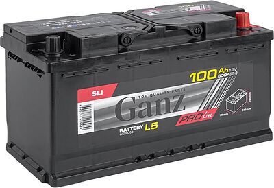 GANZ PRO-Line DIN G1091000 100 А·ч 800 А (EN), обратная полярность, 353x175x190 мм