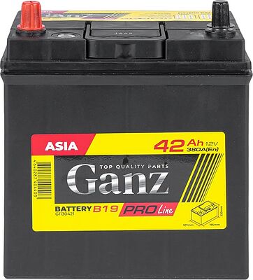 GANZ PRO-Line JIS G1130421 42 А·ч 380 А (EN), прямая полярность, 195x127x220 мм