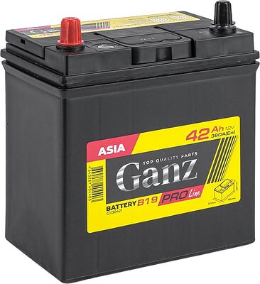 GANZ PRO-Line JIS G1130421 42 А·ч 380 А (EN), прямая полярность, 195x127x220 мм