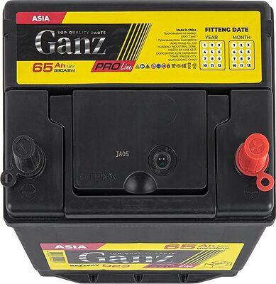 GANZ PRO-Line JIS G1170650 65 А·ч 590 А (EN), обратная полярность, 230x173x220 мм