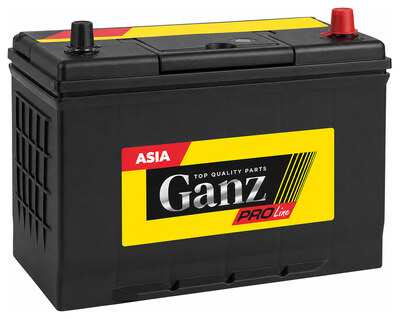 GANZ PRO-Line JIS G1150501 50 А·ч 480 А (EN), прямая полярность, 238x129x225 мм