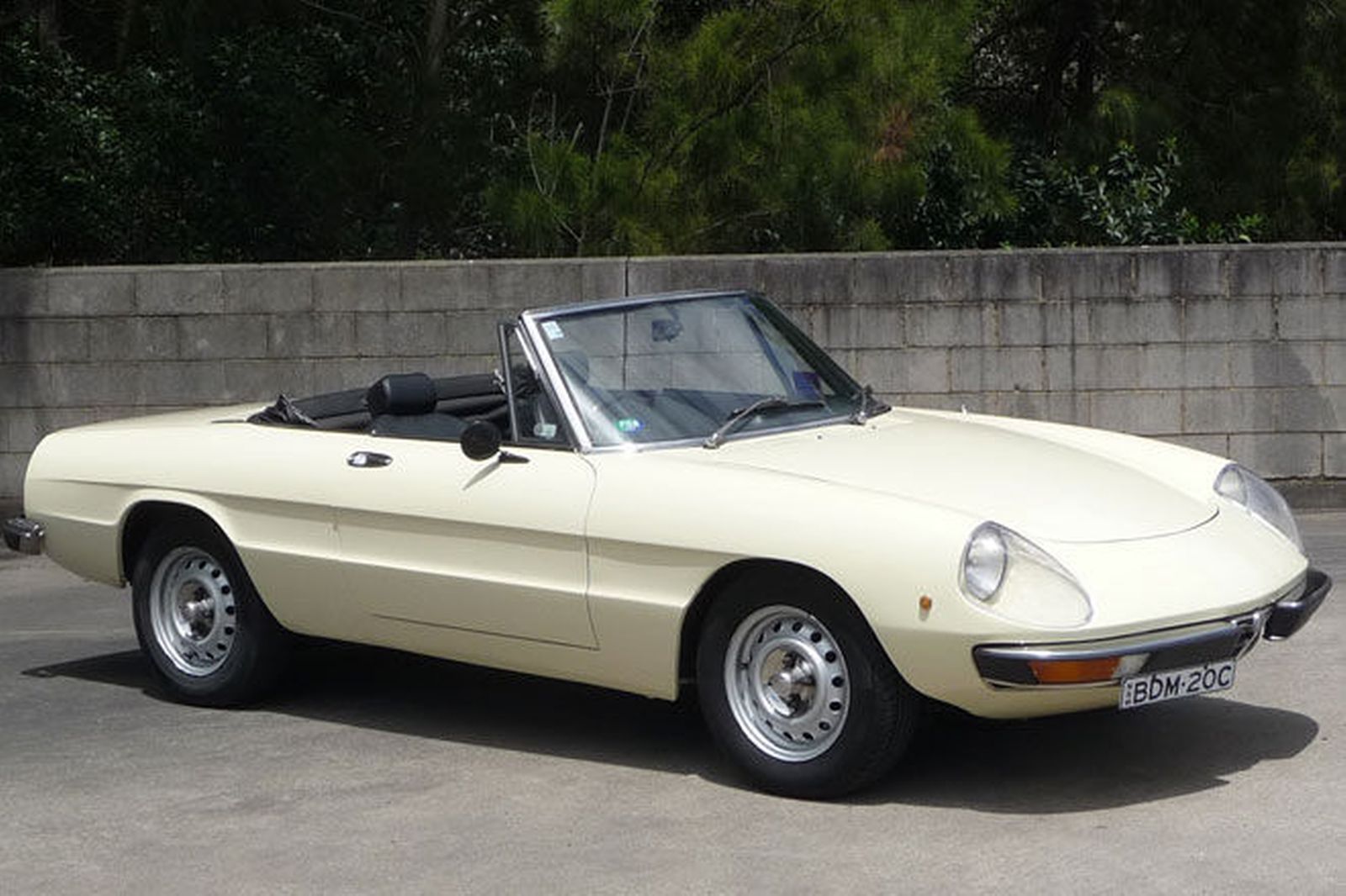 Подбор шин на Alfa Romeo Spider 1975