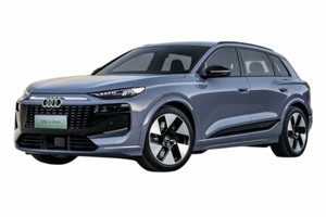 Подбор шин на Audi Q6L e-tron 2024