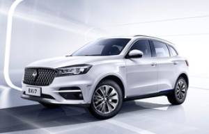 Подбор шин на Borgward BXi7 2020