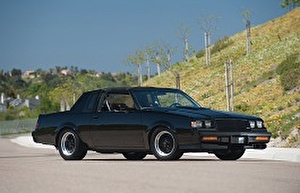 Размер колёс на Buick Grand National 1981 Подбор шин на Buick Grand National 1981