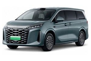 Подбор шин на BYD M9 2027