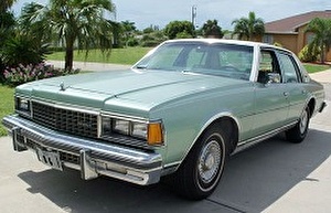 Размер колёс на Chevrolet Caprice 1981 Подбор шин на Chevrolet Caprice 1981