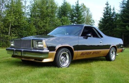 Размер колёс на Chevrolet El Camino 1981 Подбор шин на Chevrolet El Camino 1981