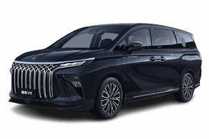 Подбор шин на Dongfeng Forthing Xinghai U-Tour V9 2024