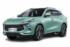 Подбор шин на Forthing T5 EVO 2022
