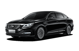 Подбор шин на GAC Trumpchi GA8 2016