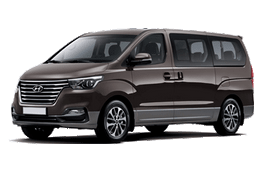 Подбор шин на Hyundai i800 2019