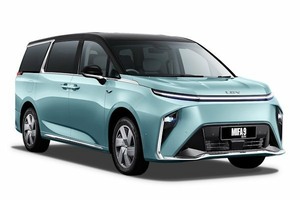 Подбор шин на LDV Mifa 9 2022