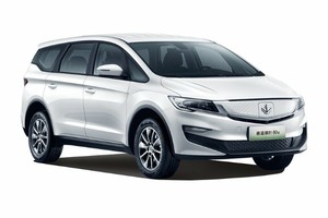 Подбор шин на Livan Maple 80v 2023