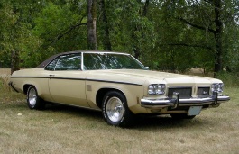 Размер колёс на Oldsmobile 88 1973 Подбор шин на Oldsmobile 88 1973