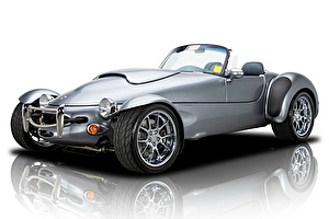 Подбор шин на Panoz AIV Roadster 2000