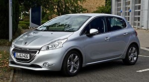 为汽车选择轮胎和轮圈 Peugeot 207. 轮胎适用于 Peugeot 为汽车选择轮胎和轮圈 Peugeot 207. Шины на Peugeot