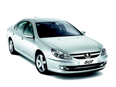 Подбор шин на Peugeot 607 2009