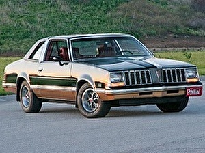 Размер колёс на Pontiac Grand AM 1979 Подбор шин на Pontiac Grand AM 1979