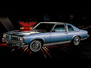 Подбор шин на Pontiac Phoenix 1977