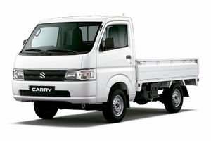 Размер колёс на Suzuki Super Carry Pro 2022 Подбор шин на Suzuki Super Carry Pro 2022