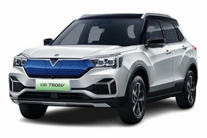 Подбор шин на Venucia T60EV 2025