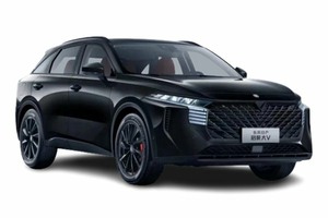 Подбор шин на Venucia V-Online 2023