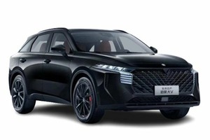 Подбор шин на Venucia V-Online 2024