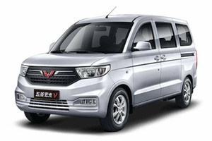 Подбор шин на Wuling Hongguang V 2024