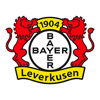 合作伙伴 Bayer Leverkusen