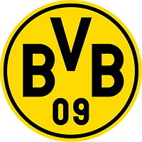 合作伙伴 Borussia