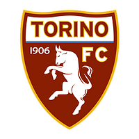 合作伙伴 Torino FC
