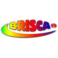 合作伙伴 BriSCA Formula 2 Stock Cars