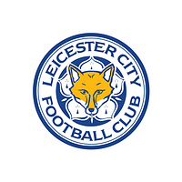 合作伙伴 Leicester City