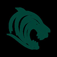 合作伙伴 Leicester Tigers