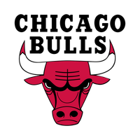 合作伙伴 Chicago Bulls