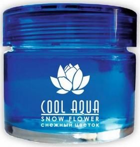 Ароматизатор на панель банка Cool Aqua Прохладный дождь Ароматизатор на панель банка Cool Aqua Прохладный дождь