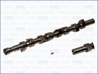 AJUSA 93014600 распредвал на RENAULT MEGANE I (BA0/1_)