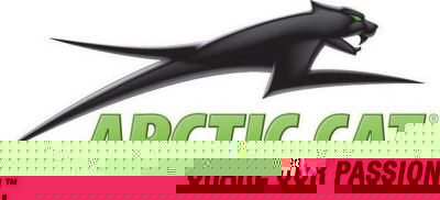 ARCTIC CAT Заклепка (90273)