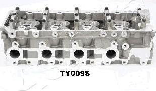 Ashika TY009S головка цилиндра на TOYOTA LAND CRUISER (LJ12_, KZJ12_, TRJ12_, KDJ12_, GRJ12_)