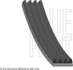 Blue Print AD04R725 поликлиновой ремень на NISSAN MICRA II (K11)
