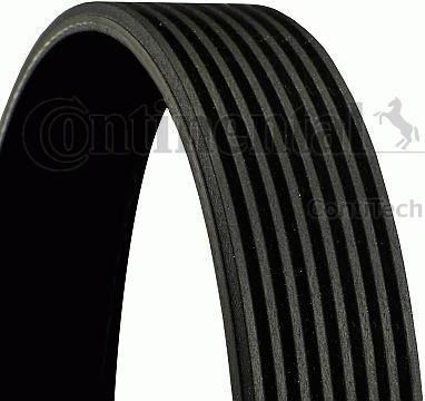 Contitech 8PK1920 поликлиновой ремень на MAN TGA