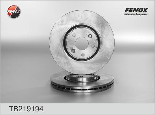Fenox TB219194 тормозной диск на RENAULT LAGUNA II (BG0/1_)