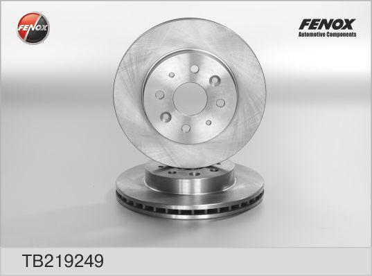 FENOX Диск тормозной KIA Rio (к-кт 2 шт., цена за 1 шт.) (TB219249)