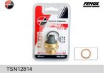 FENOX Датчик температуры DAEWOO Nexia (TSN12814)