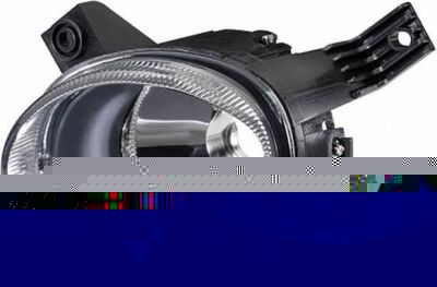 Hella 1N0 010 380-011 противотуманная фара на AUDI A4 кабрио (8H7, B6, 8HE, B7)