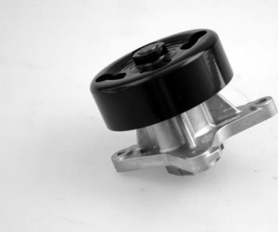 HEPU Насос водяной Nissan Qashqai, X-Trail, Renault Clio 2.0 06] (B1010-EN20B, P7396)